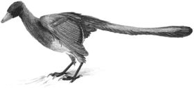 Archaeopteryx-Rekonstruktion
