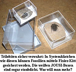Systemboxen