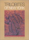 Trilobites of New York